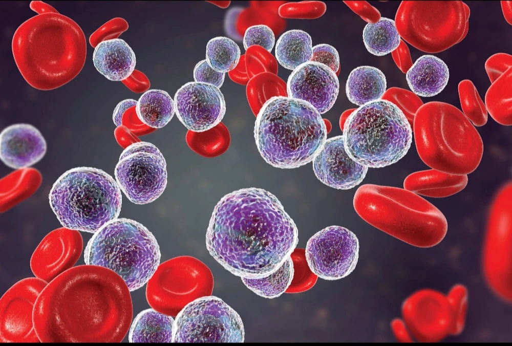image of red and white blood cells