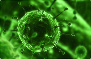 Cells_002 Cells_002
