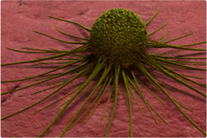 Cells_003 Cells_003