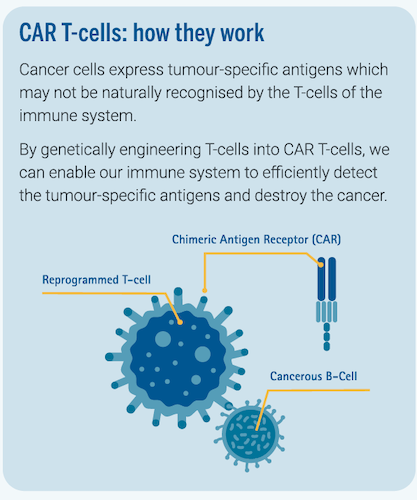 Infographic - CAR T-cells - how they work
