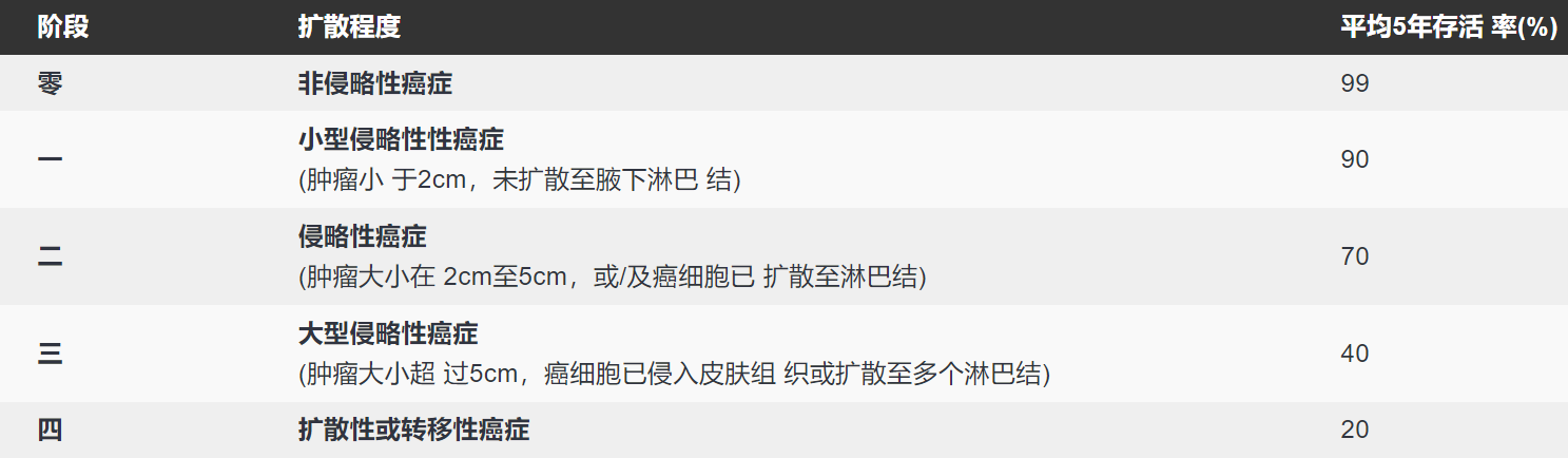 乳房解剖學