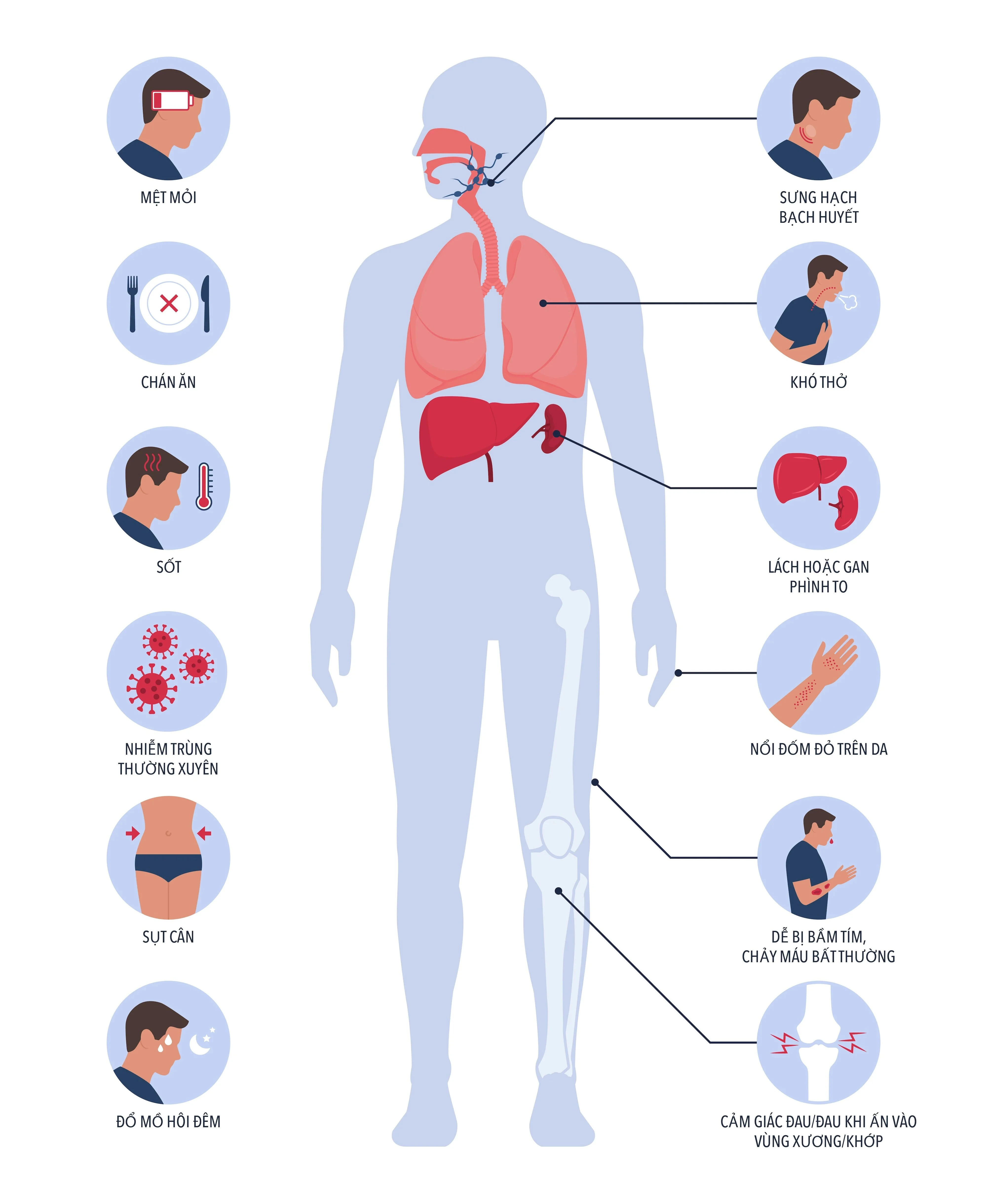 blood cancer infographic