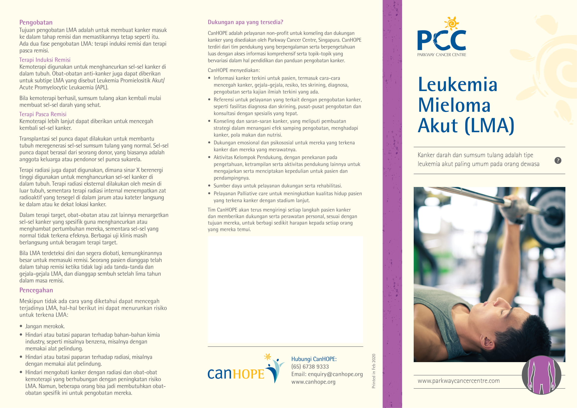 Leukemia Mieloma Akut (LMA) PDF