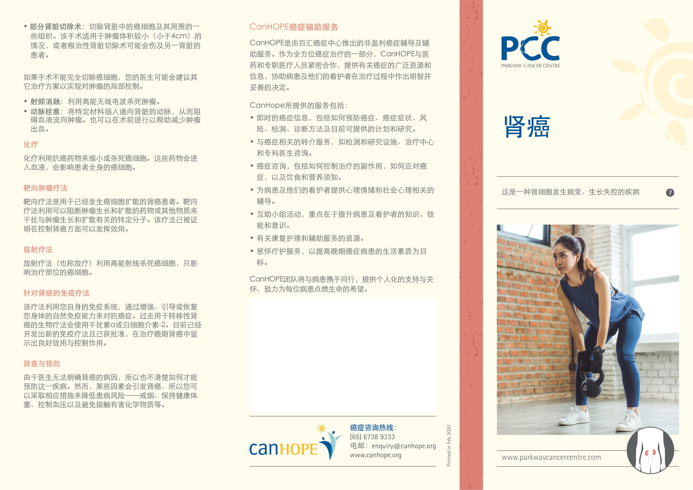 肾癌 PDF