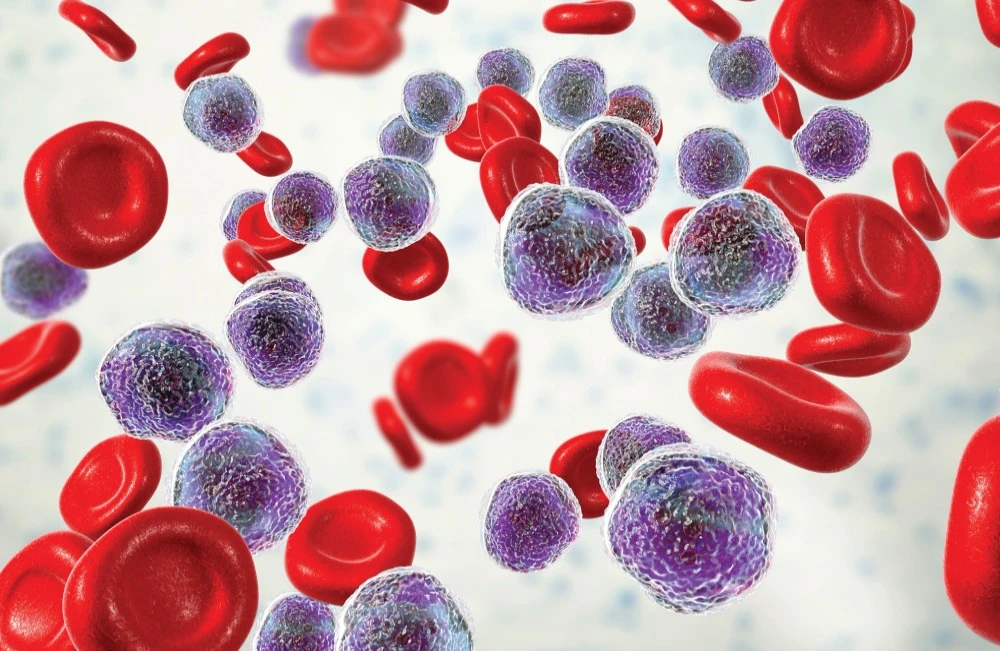 image of red and white blood cell