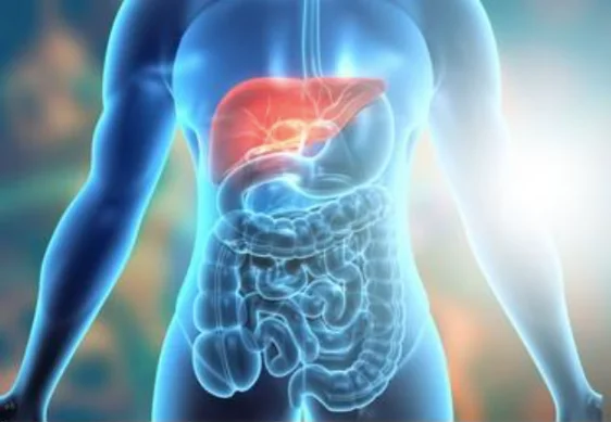 What is Liver Cancer?