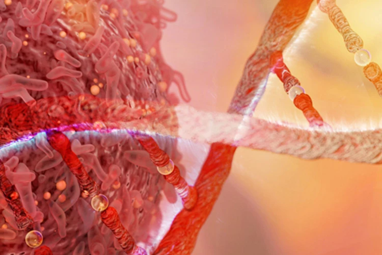 close up visual of lymphoma virus and dna