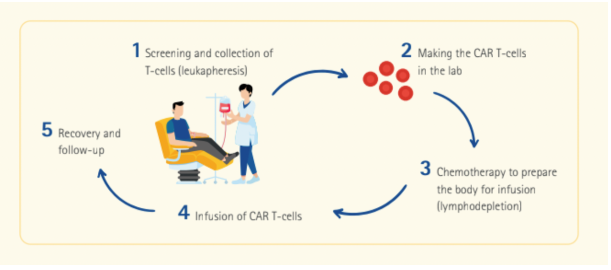 LIỆU PHÁP TẾ BÀO CAR T: CÁCH THỨC HOẠT ĐỘNG