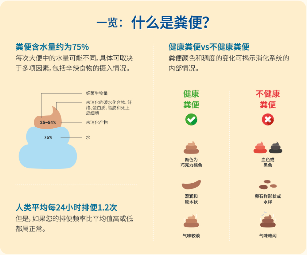信息图：一目了然，什么是便便