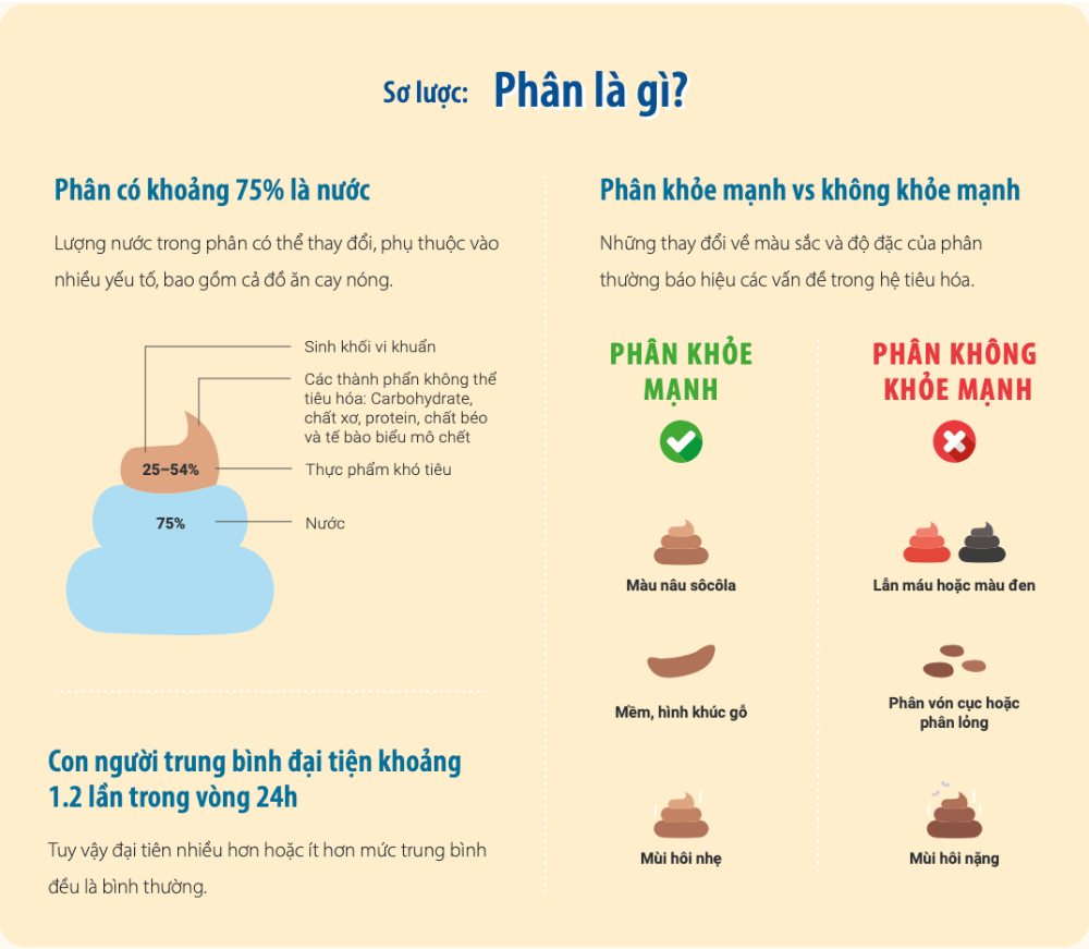 Infographic: Nhìn thoáng qua, poop là gì