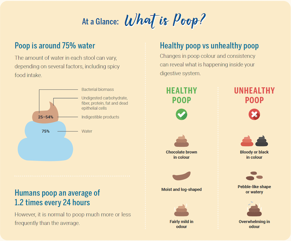 Infographic: At a glance, what is poop