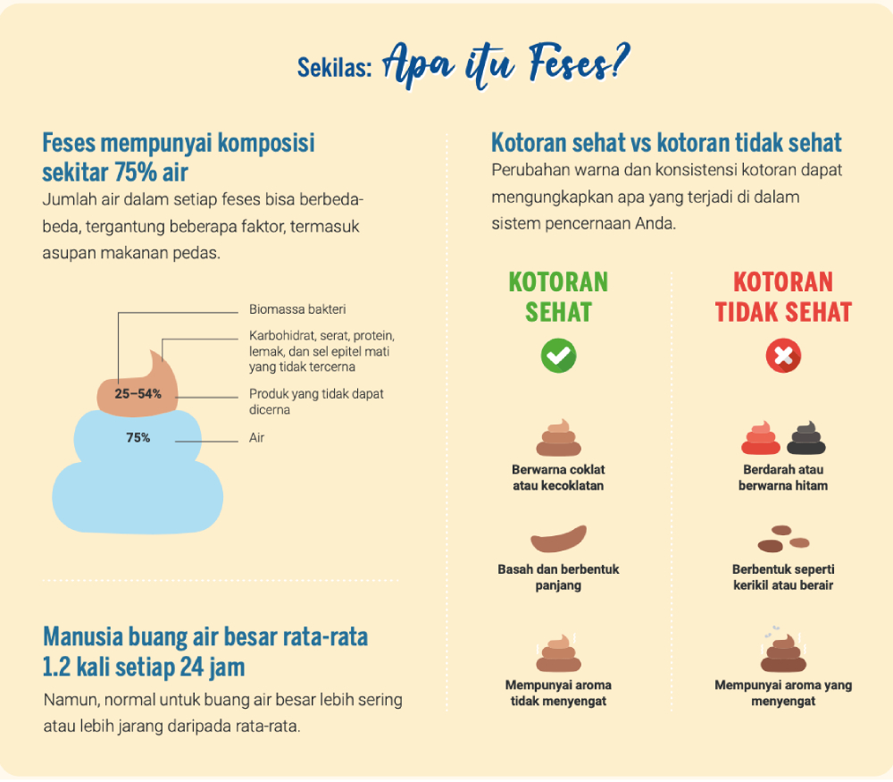 Infografis: Sekilas, apa itu kotoran