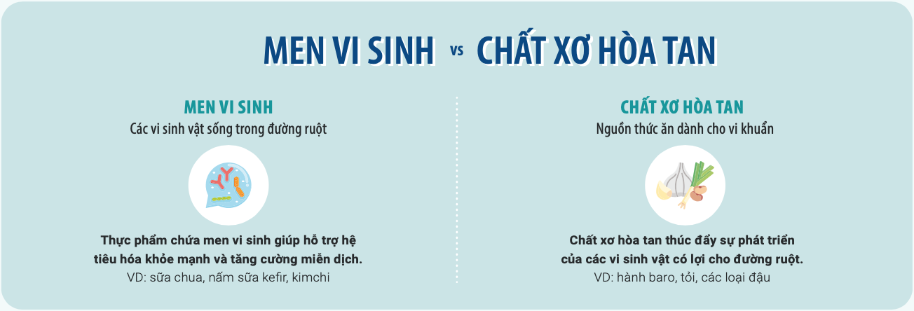 đồ họa thông tin: men vi sinh vs chất xơ hòa tan