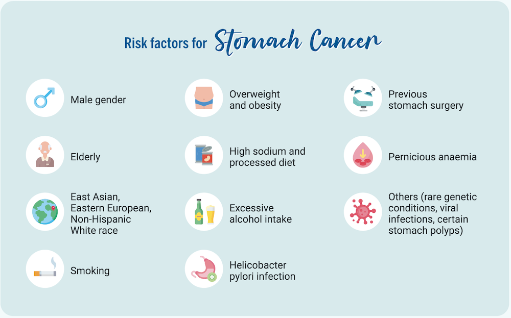 Risk Factors for Stomach Cancer Infographic