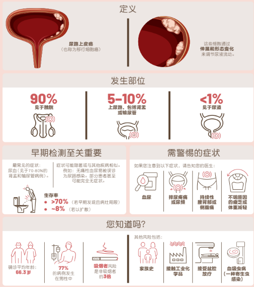 the cancer that take another route infographic