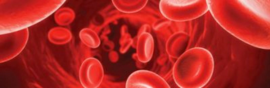 haematology-oncology haematology-oncology