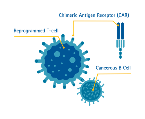 嵌合抗原受体(CAR)T细胞疗法