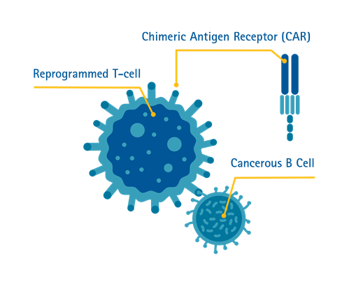 CAR T-cell ကုထုံး